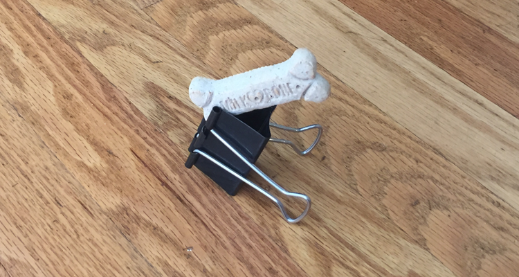 binder clip with dog treat